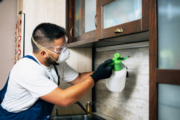 Best Wildlife Control Services  in Anson, TX