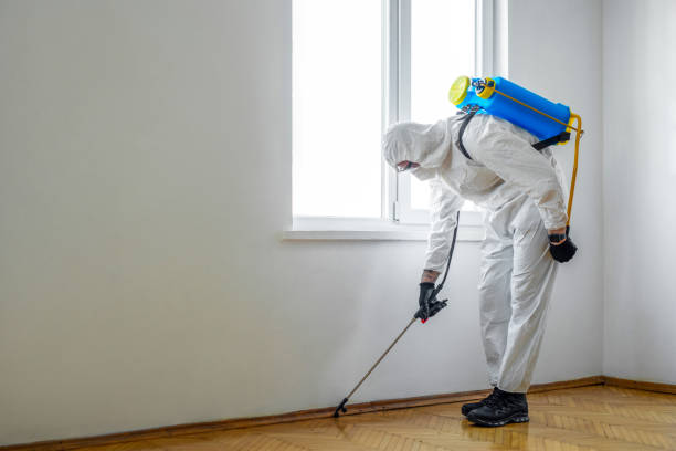 Reliable Anson, TX Pest Control Solutions